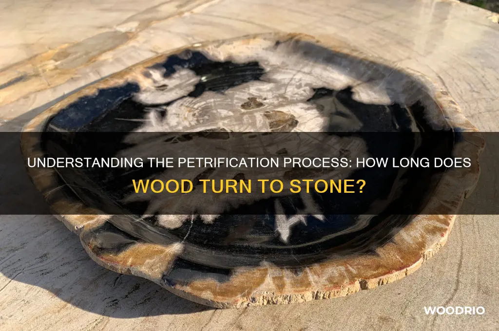 how long does wood petrify