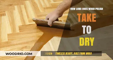 Wood Polish Drying Time: Factors Affecting Quick and Efficient Results