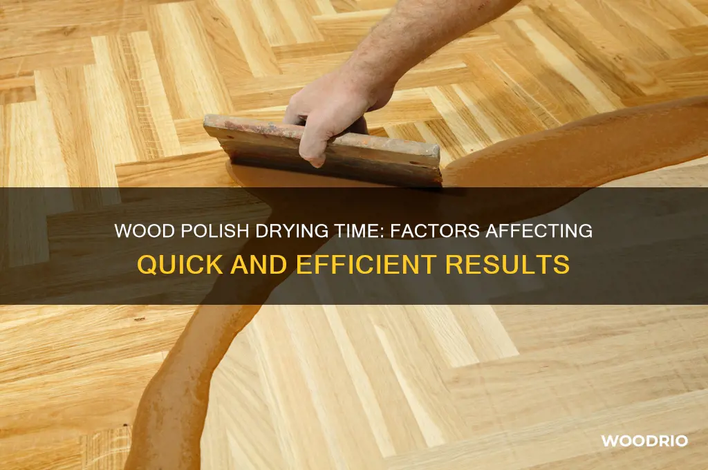 how long does wood polish take to dry