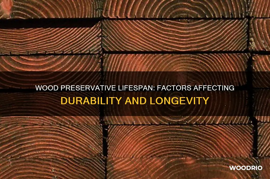 how long does wood preservative last