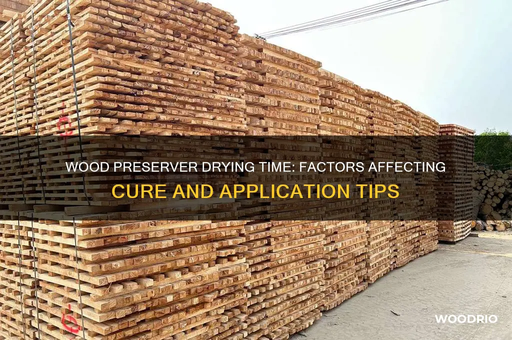 how long does wood preserver take to dry