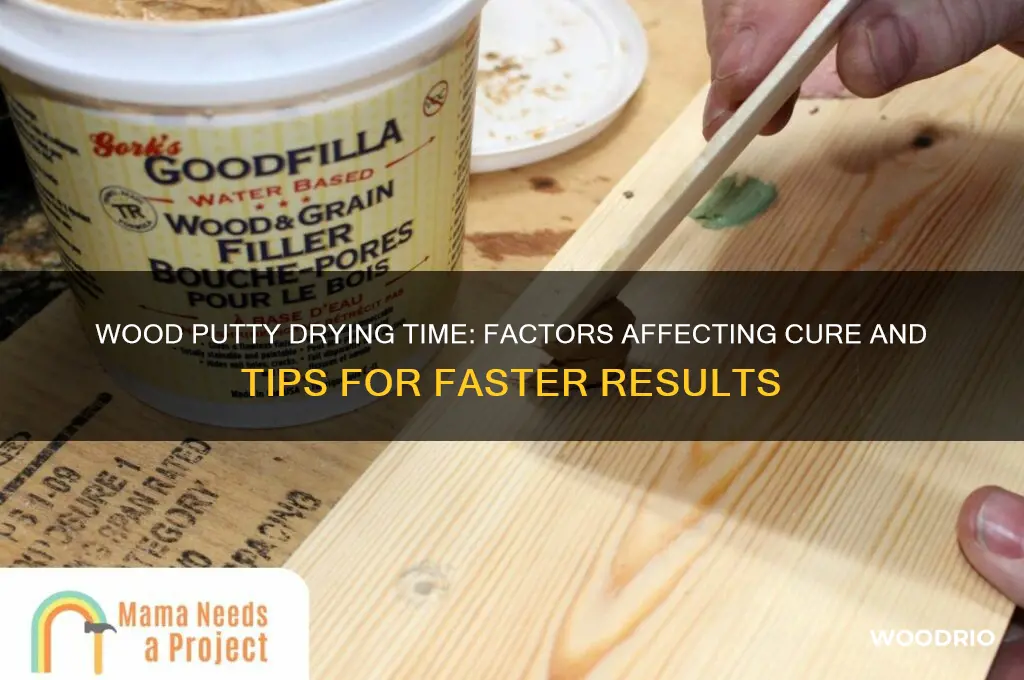 how long does wood putty dry