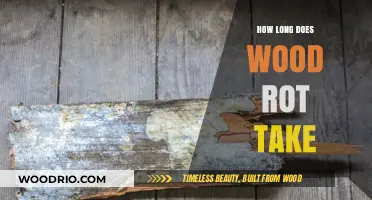 Understanding Wood Rot: Factors Influencing Decay Timeline and Prevention Tips