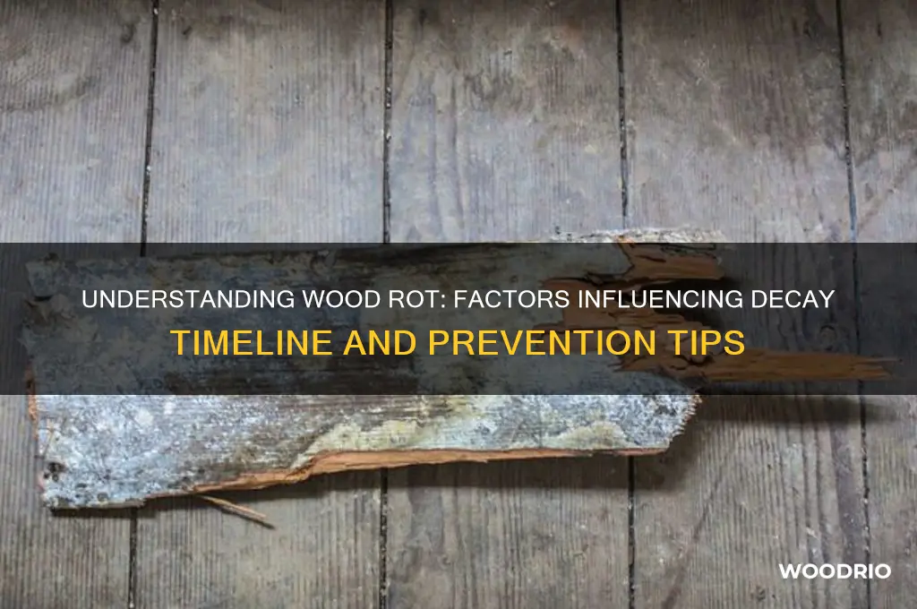 how long does wood rot take