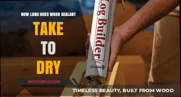 Wood Sealant Drying Time: Factors Affecting Cure and Application Tips