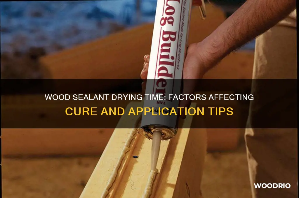 how long does wood sealant take to dry