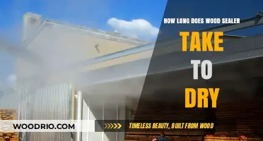 Wood Sealer Drying Time: Factors Affecting Cure and Dry Time