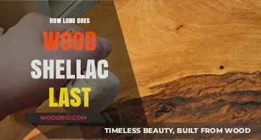 Wood Shellac Durability: Lifespan, Factors, and Maintenance Tips Revealed
