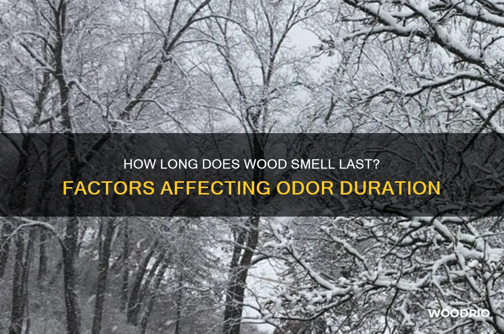 how long does wood smell last