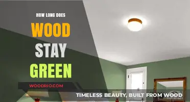 How Long Does Wood Stay Green? Factors Affecting Its Natural Color
