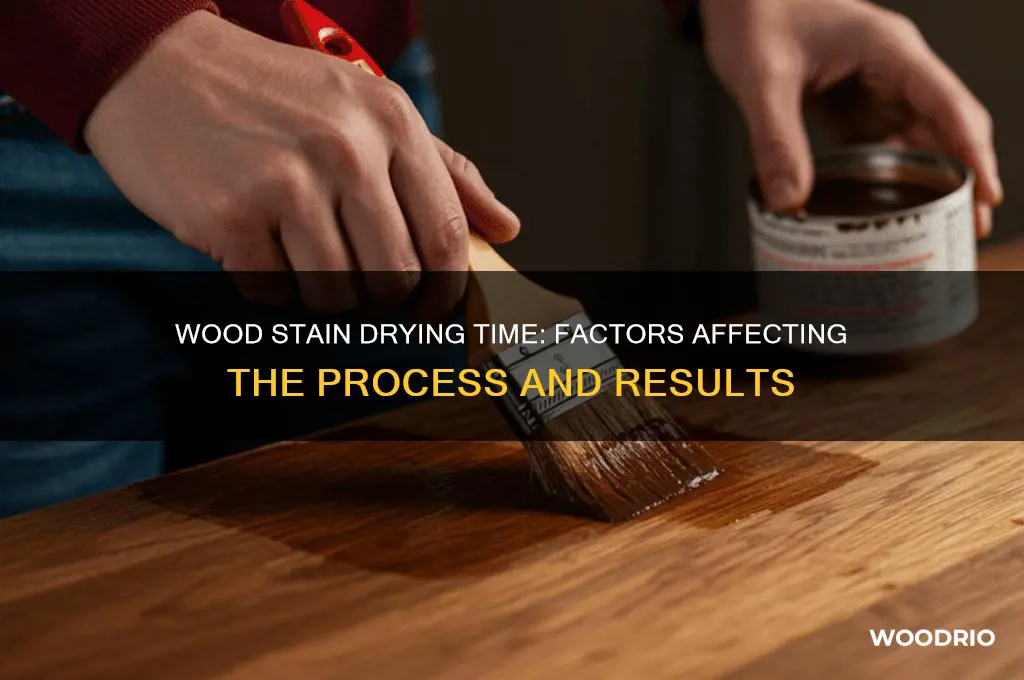 how long does wood stsin take to dry