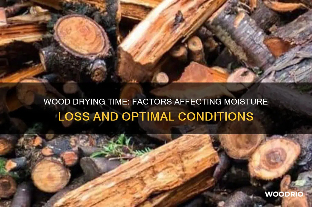 how long does wood take dry out