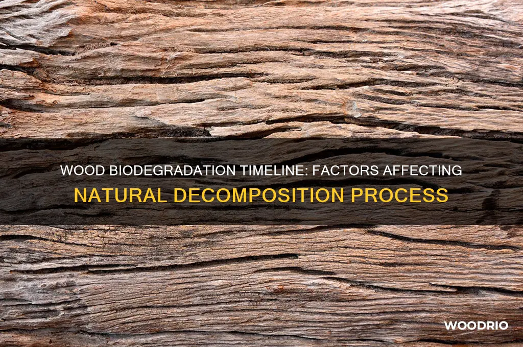 how long does wood take to biodegrade