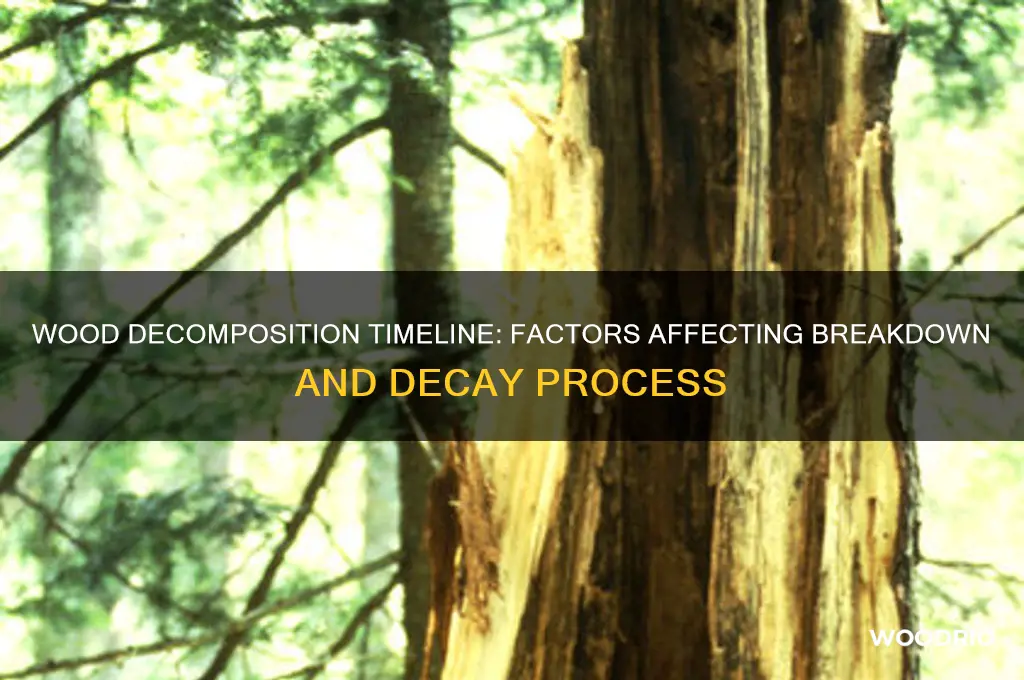 how long does wood take to break down