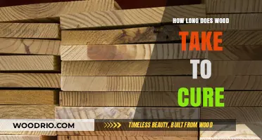 Understanding Wood Curing Time: Factors Affecting the Drying Process