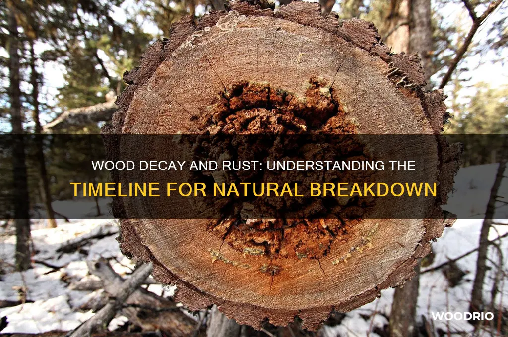 how long does wood take to decay rust