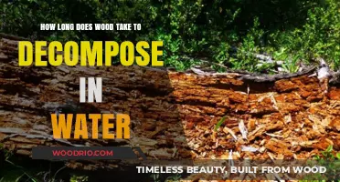 Wood Decomposition in Water: Factors Affecting Breakdown Time