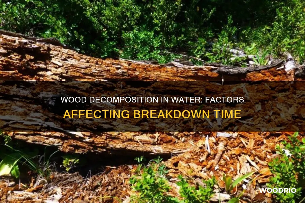 how long does wood take to decompose in water