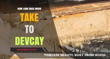 Understanding Wood Decay: Factors Affecting Decomposition Time and Durability