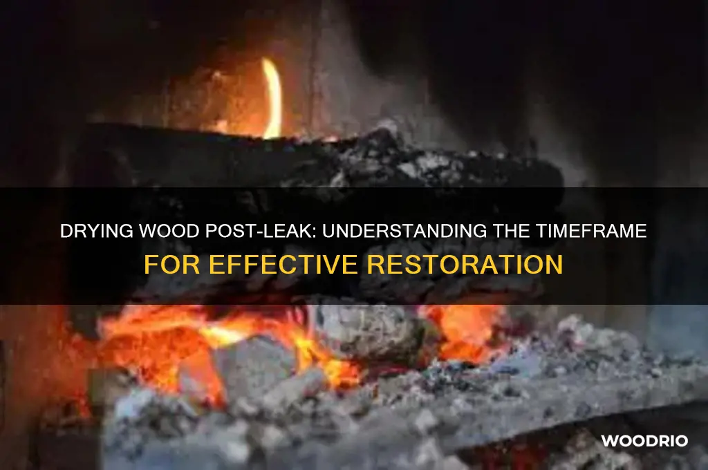 how long does wood take to dry after a leak