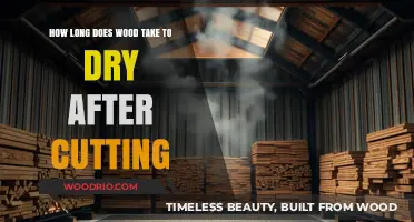 Timber's Transformation: The Drying Process Post-Cutting Explained