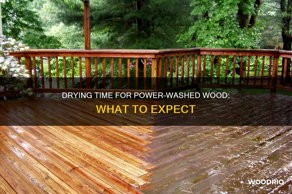 how long does wood take to dry after power washing