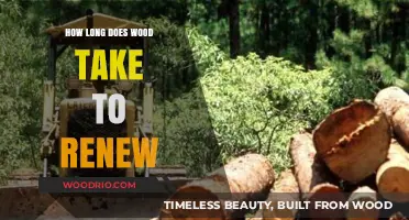 Wood Renewal Timeline: Understanding Sustainable Forestry Practices and Growth Rates