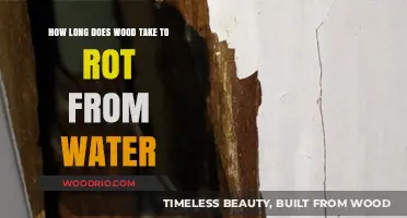 How Long Does Wood Take to Rot from Water Exposure?