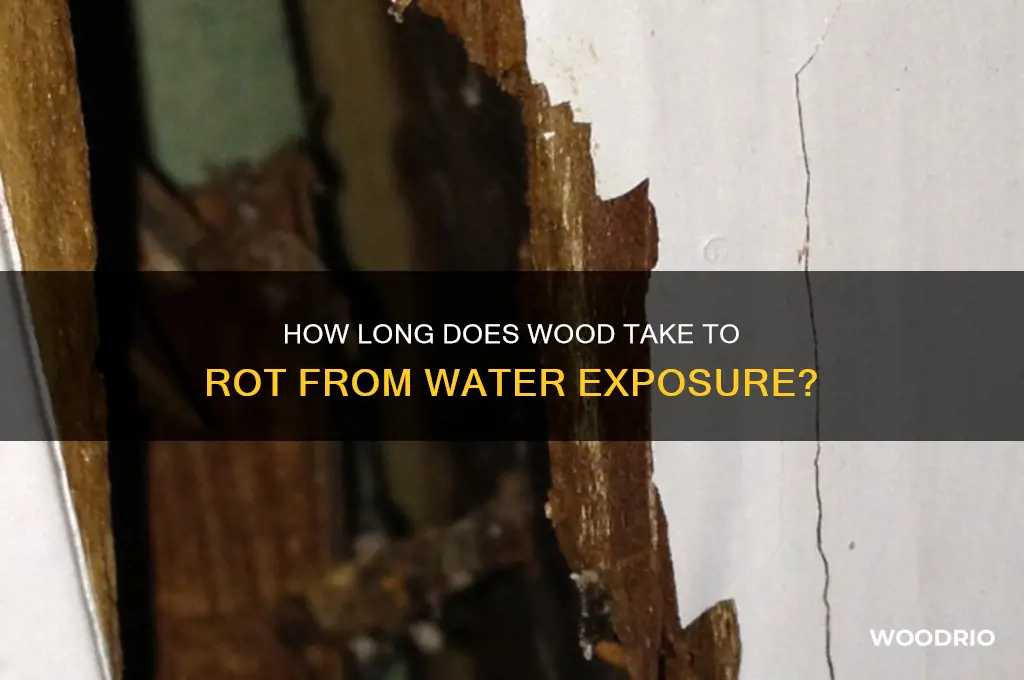 how long does wood take to rot from water