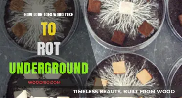 Underground Wood Decay: Factors Affecting Rotting Time and Durability