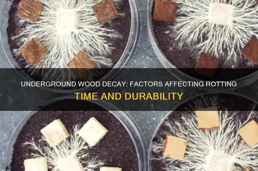 how long does wood take to rot underground