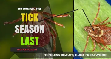 Wood Tick Season Duration: Understanding Its Length and Timing