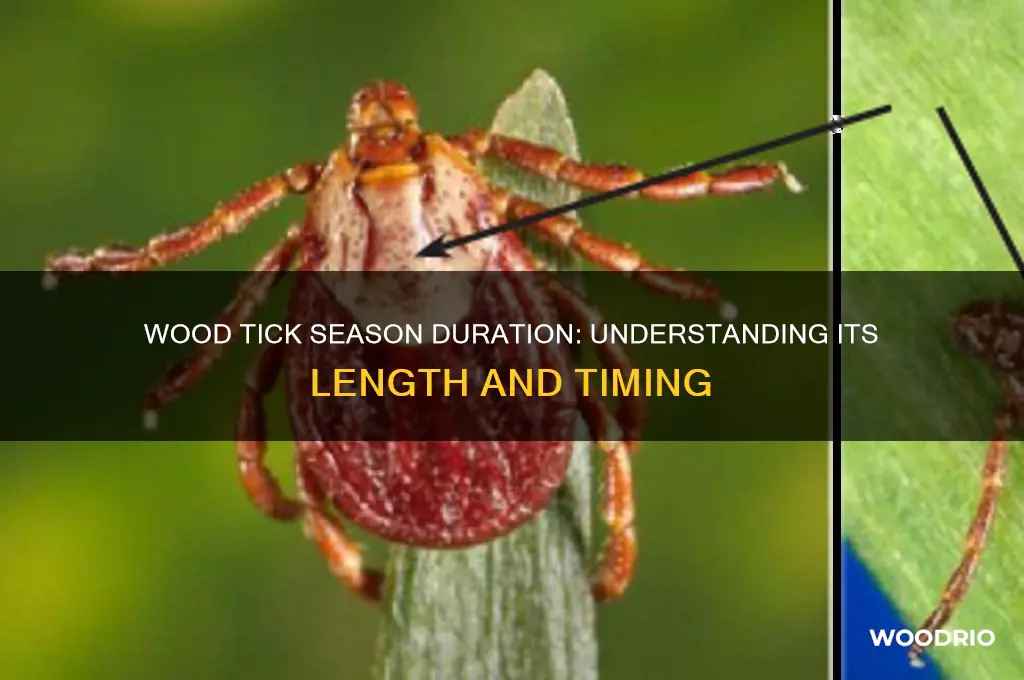 how long does wood tick season last