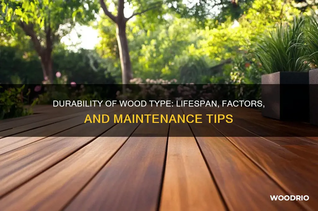 how long does wood type last