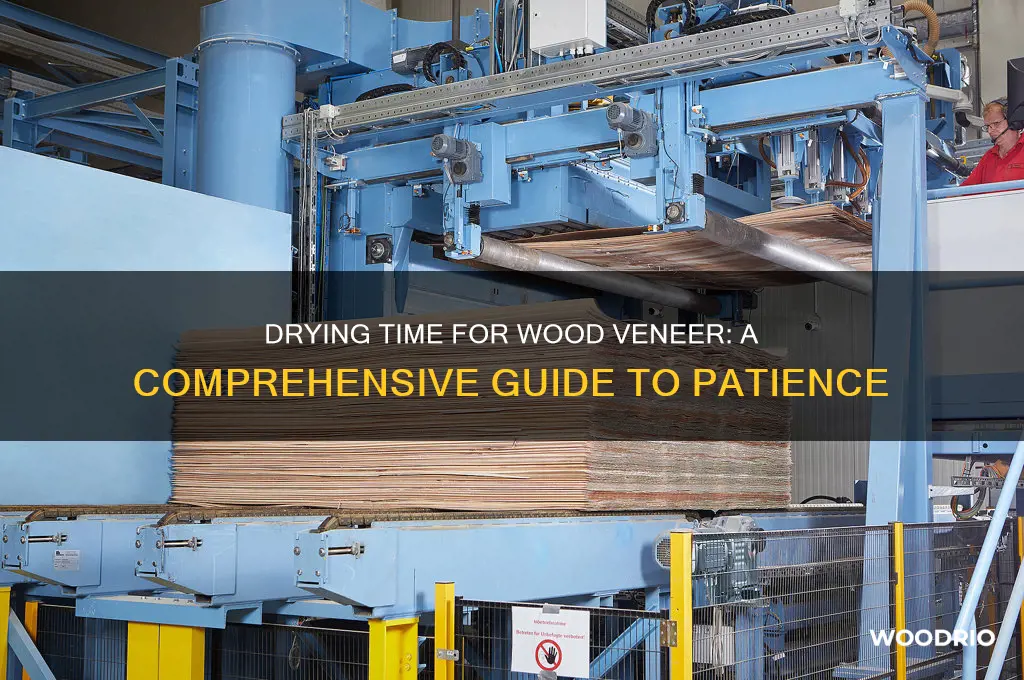 how long does wood vineer take todry