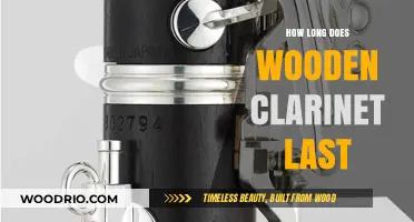 Durability of Wooden Clarinets: Lifespan and Maintenance Tips Revealed