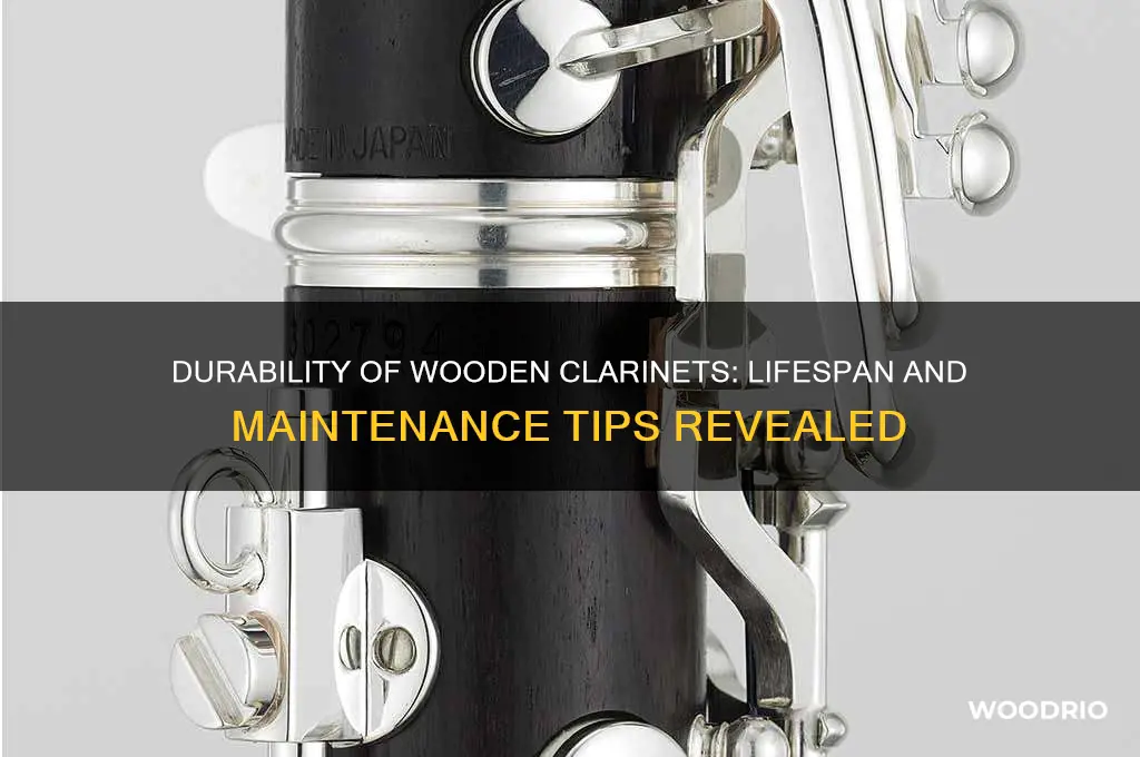 how long does wooden clarinet last