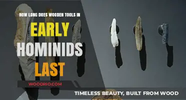Durability of Early Hominid Wooden Tools: Lifespan and Preservation Insights