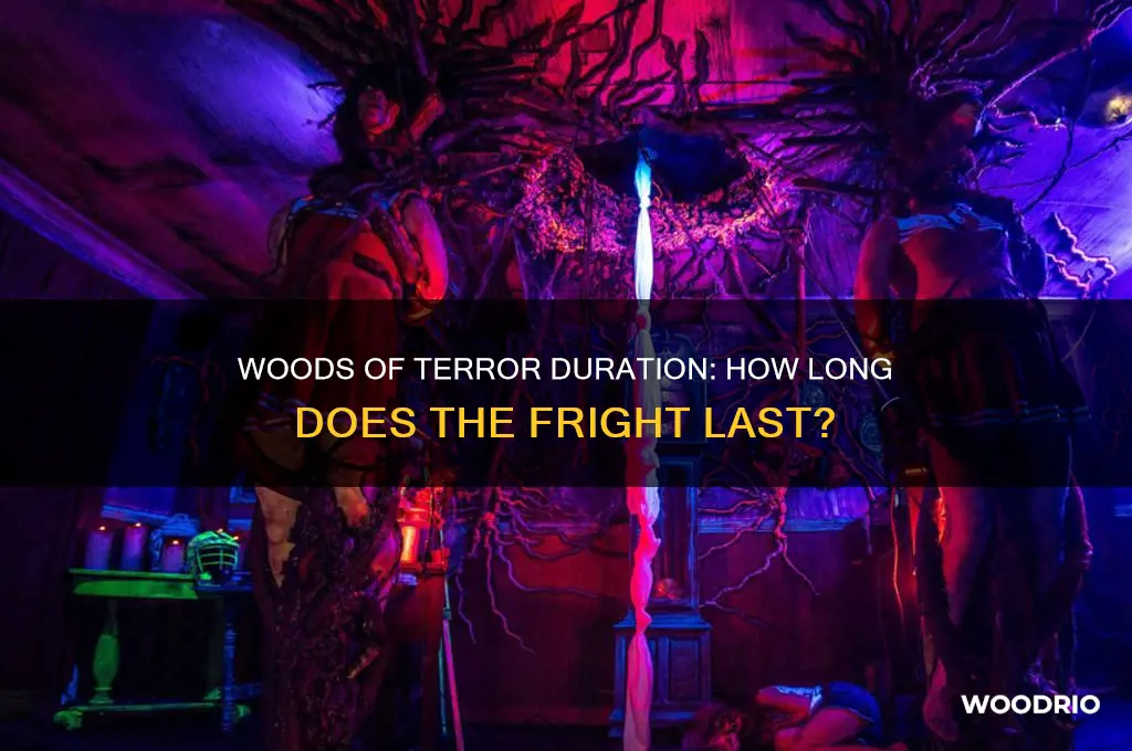 how long does woods of terror last