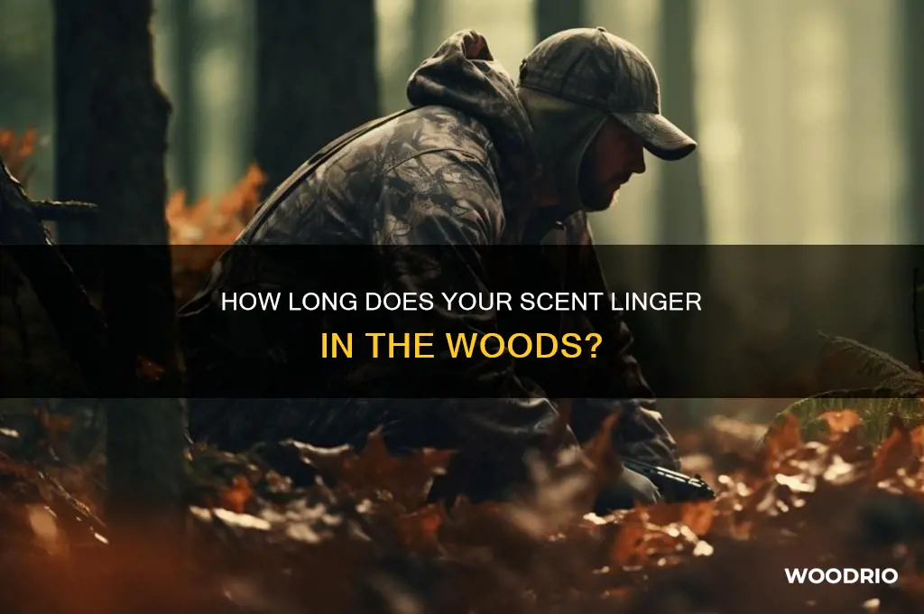 how long does your scent last in the woods