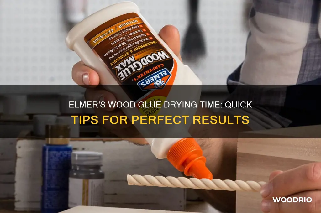 how long dos elmers wood glue take to dry