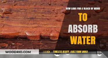 Wood Water Absorption: Understanding How Long It Takes for a Block to Soak Up Moisture
