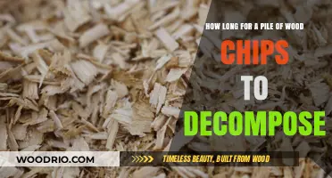 Wood Chip Decomposition Timeline: Factors Affecting Breakdown Process