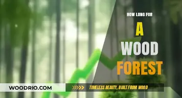 Understanding the Growth Timeline of a Thriving Wood Forest Ecosystem