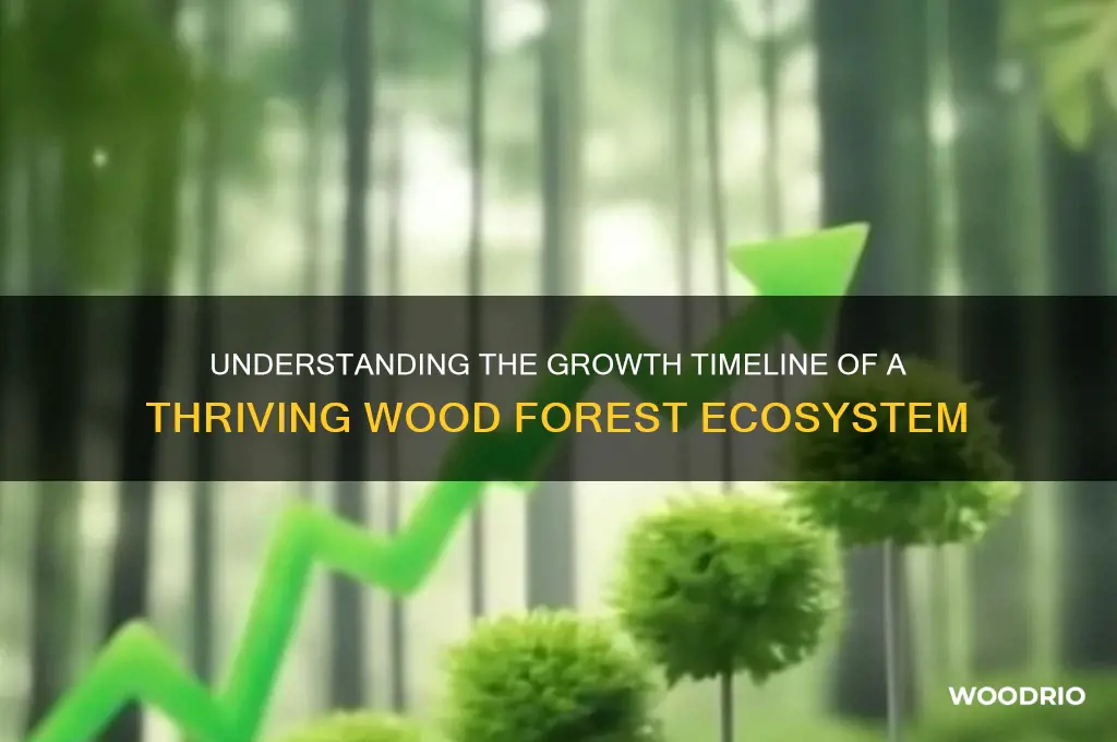 how long for a wood forest