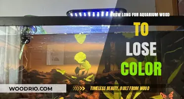 Aquarium Wood Color Fading: Timeline and Tips for a Clear Tank