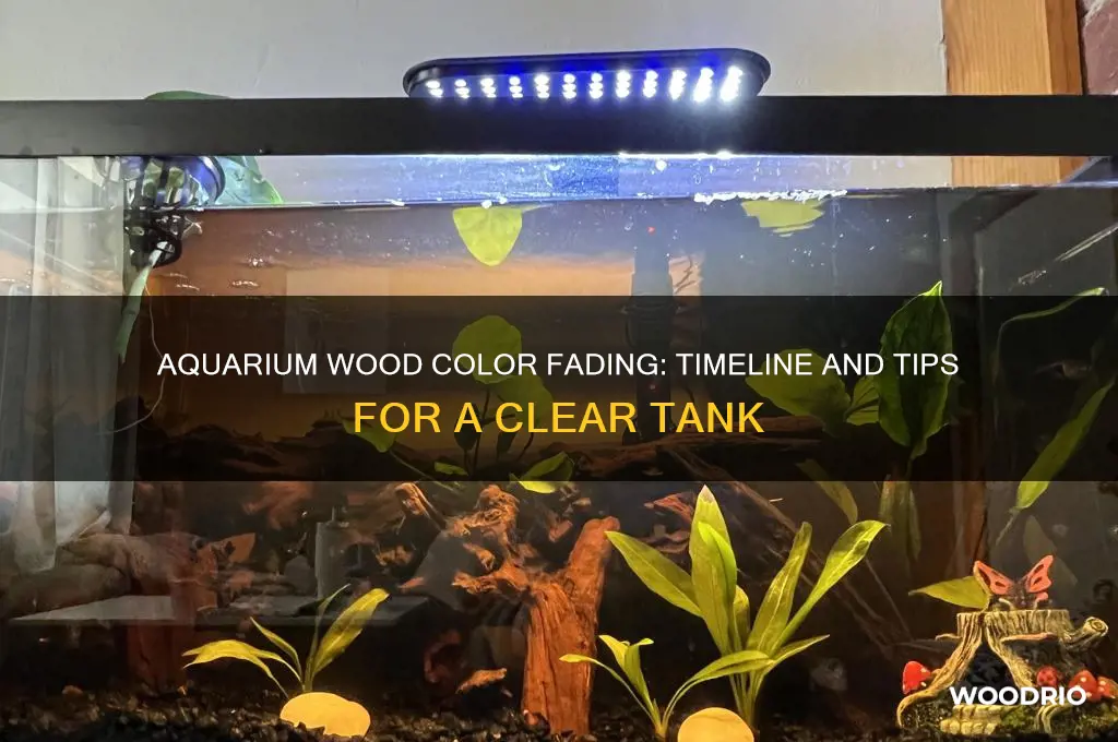 how long for aquarium wood to lose color