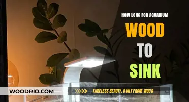 Aquarium Wood Sinking Time: Factors Affecting When It'll Submerge