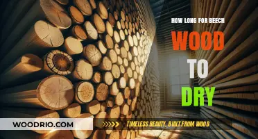 Drying Beech Wood: Optimal Time and Techniques for Perfect Results