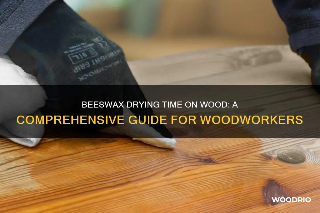 how long for beeswax to dry on wood